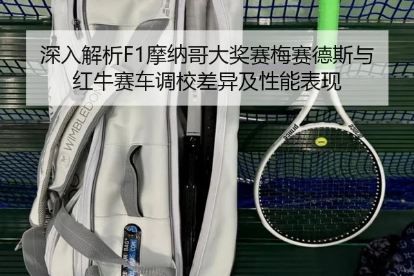深入解析F1摩纳哥大奖赛梅赛德斯与红牛赛车调校差异及性能表现
